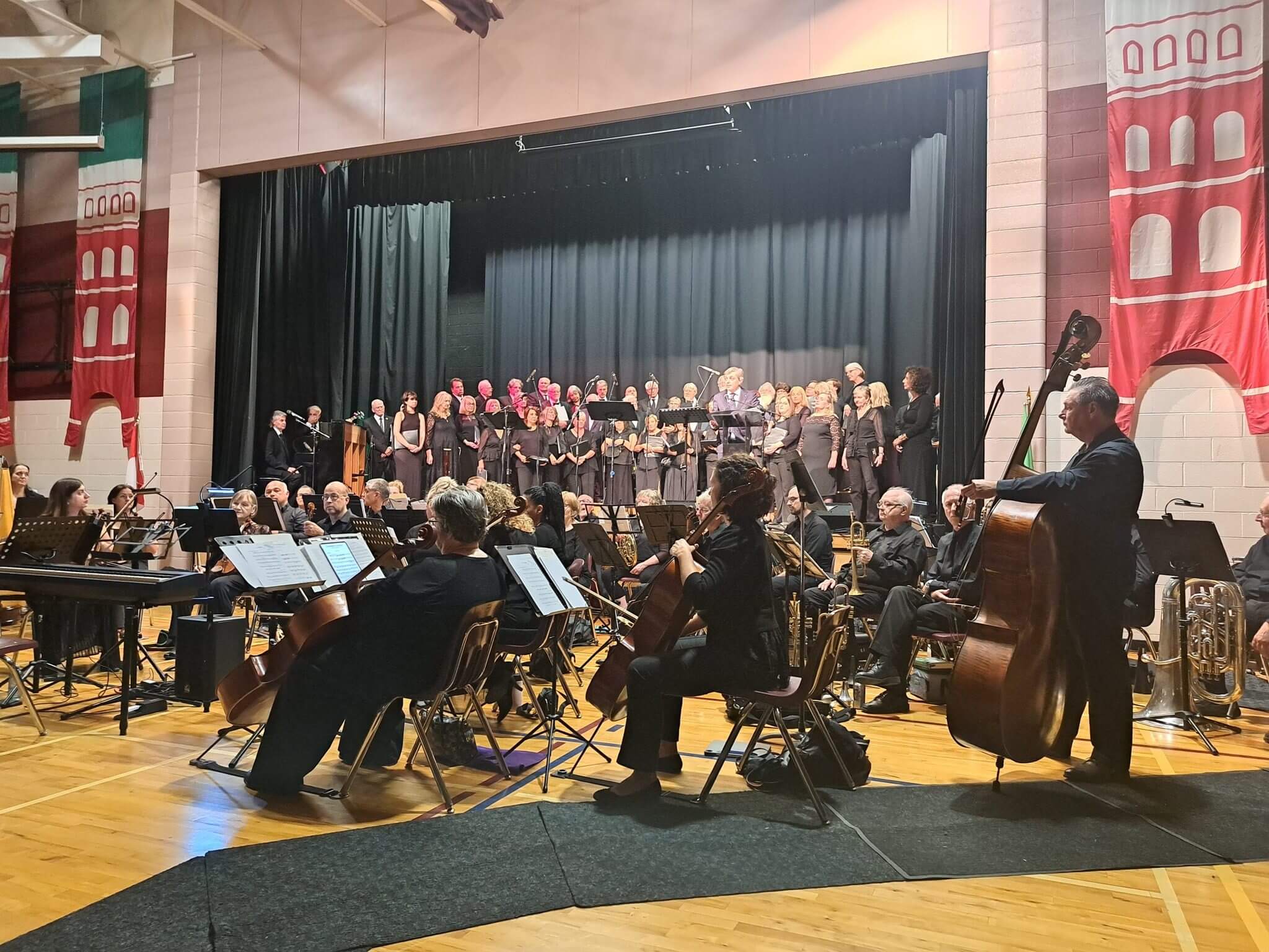 Orchestra performing on stage in a concert hall.
