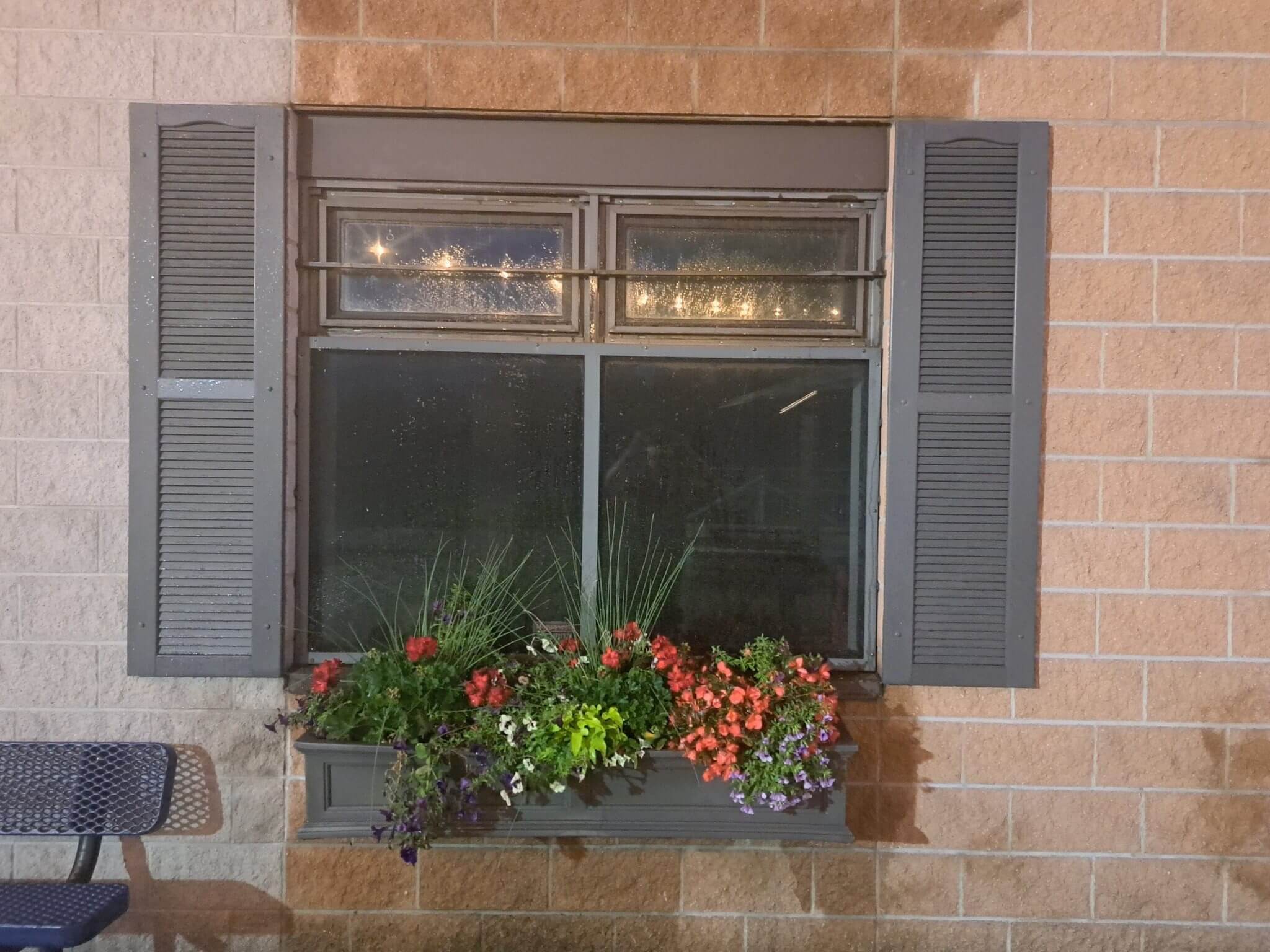 A window with blue shutters and a flower box filled with greenery and orange flowers.