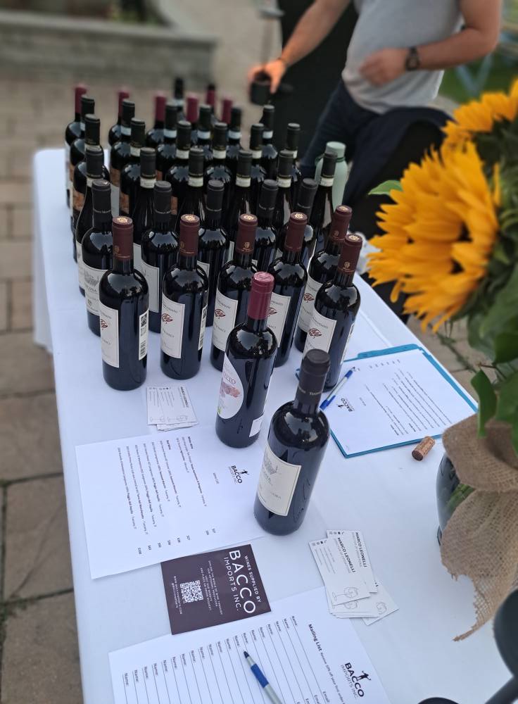Bottles of wine arranged neatly on a table at an outdoor event.